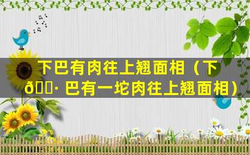 下巴有肉往上翘面相（下 🕷 巴有一坨肉往上翘面相）